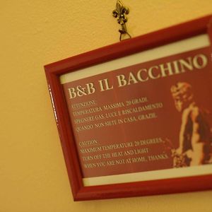 B&B Il Bacchino